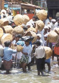 Fischer bei der &Uuml;bernahme der Fische