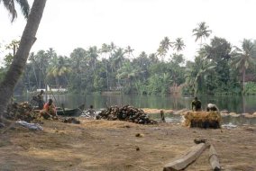 Faserherstellung aus Kokosn&uuml;ssen