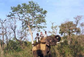 Wir auf Elefanten ohne F&uuml;&szlig;e